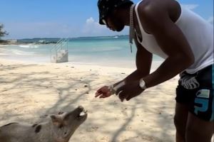 勇士休赛期不正经新闻+1！希尔德巴哈马度假抱宠物猪并简单投喂